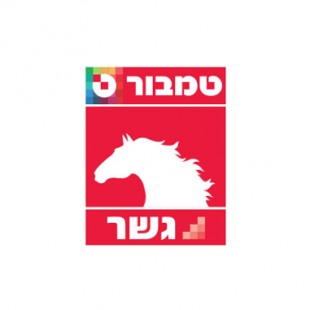 מלט אפור - צמנט פורטלנד
