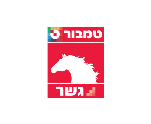 מלט אפור – צמנט פורטלנד