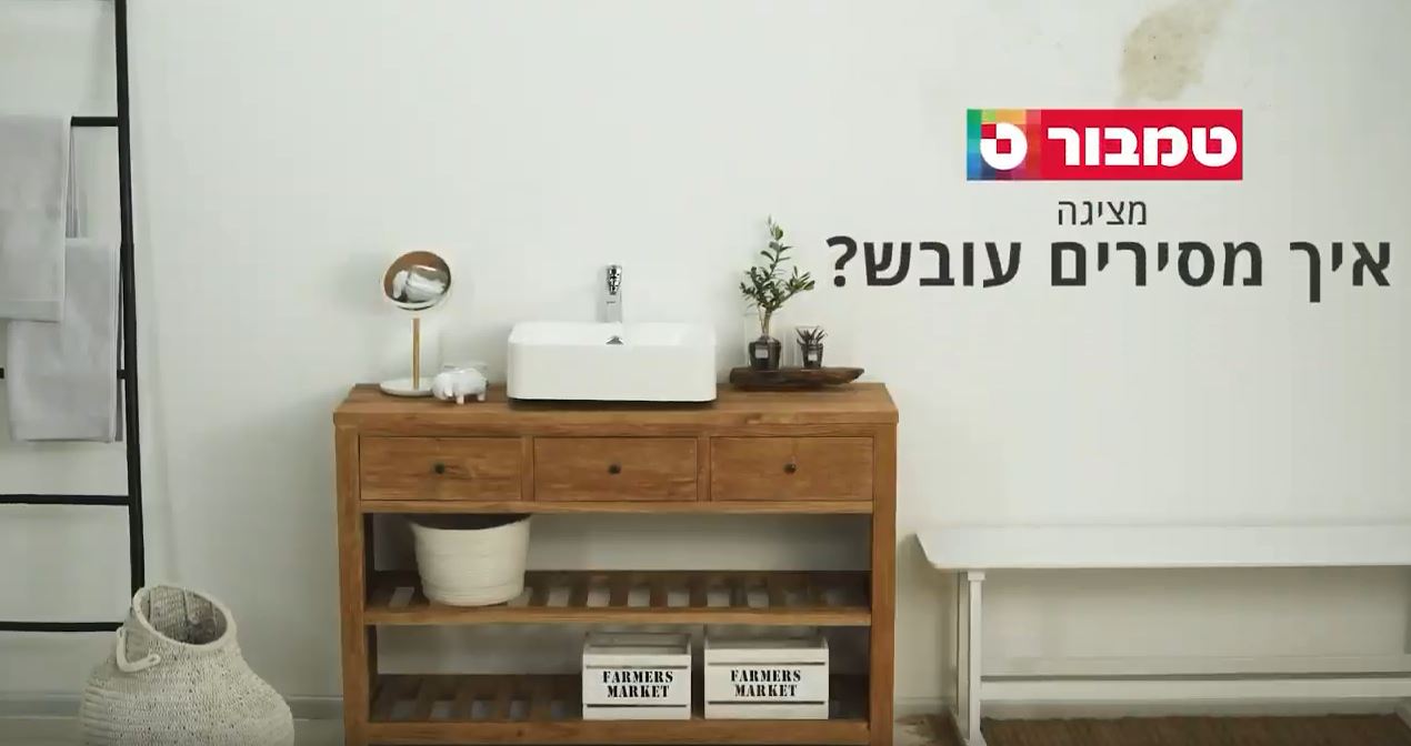 הסרת עובש מהקירות