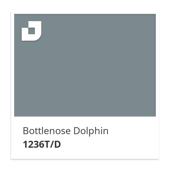 Bottlenose Dolphin