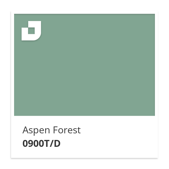 Aspen Forest