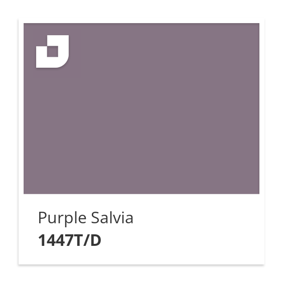 Purple Salvia