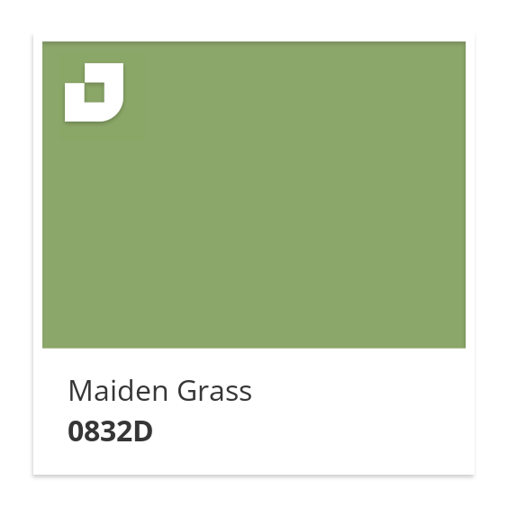 Maiden Grass
