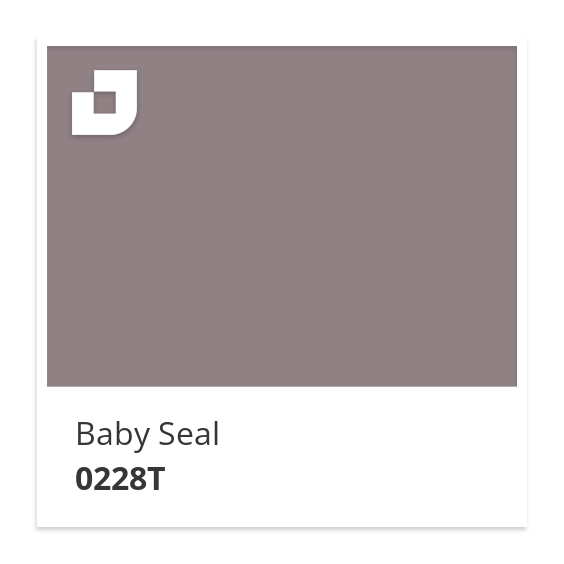 Baby Seal