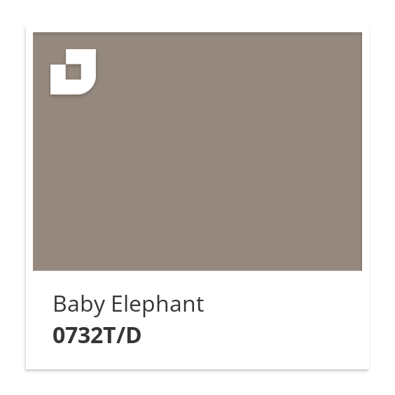 Baby Elephant