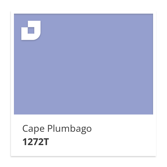 Cape Plumbago