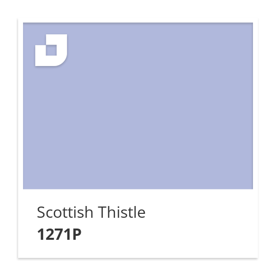 Scottish Thistle