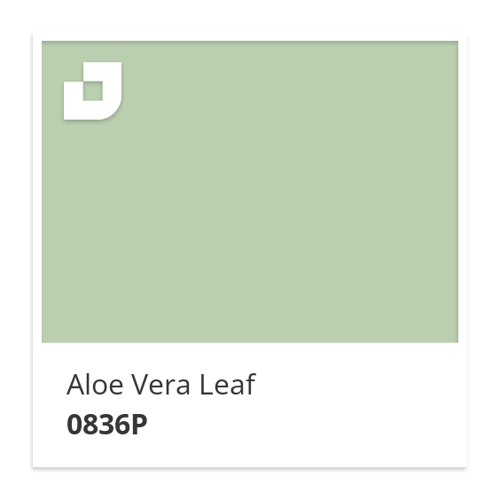 Aloe Vera Leaf