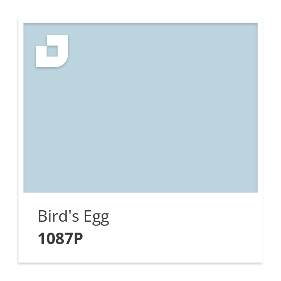 Bird's Egg