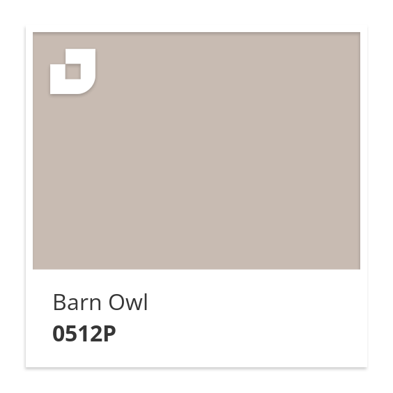 Barn Owl