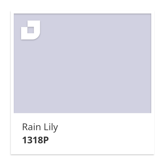 Rain Lily