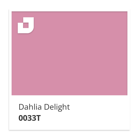 Dahlia Delight