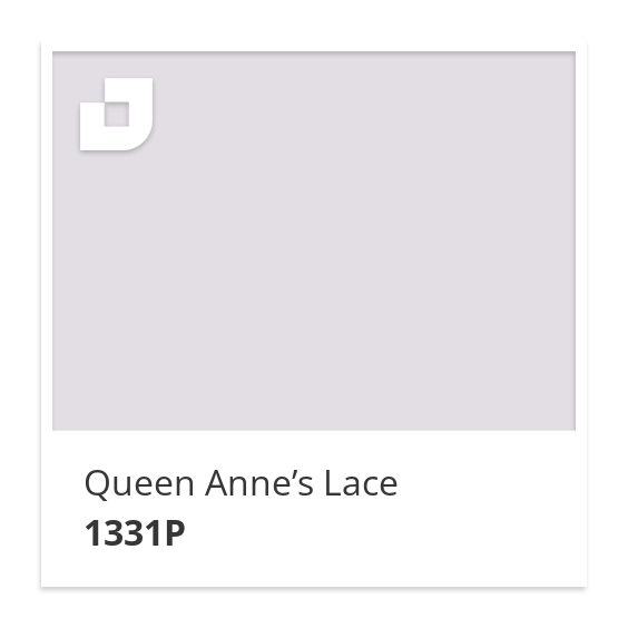 Queen Anne’s Lace
