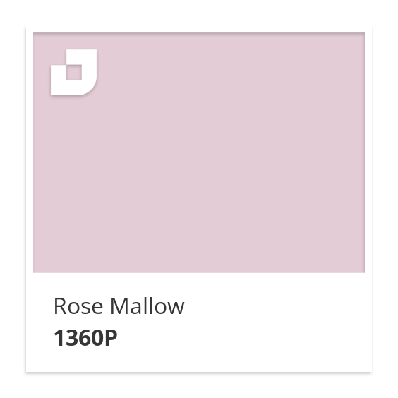 Rose Mallow