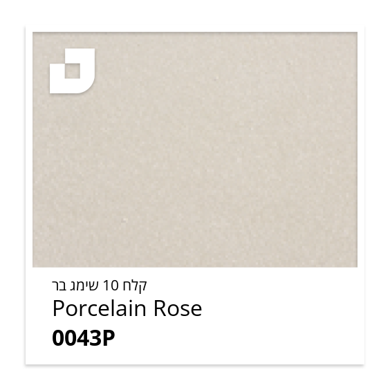 Porcelain Rose