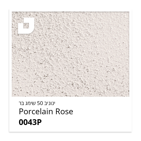 Porcelain Rose