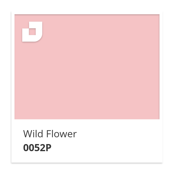 Wild Flower