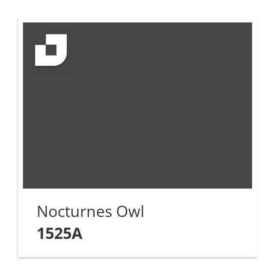 Nocturnes Owl
