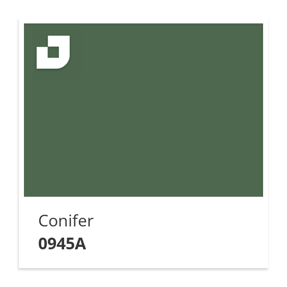 Conifer